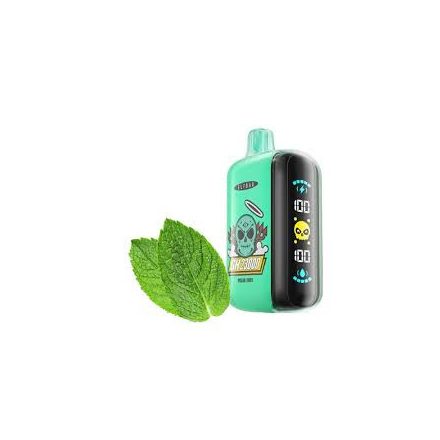 ELF BAR GH23000 rechargeable vape with polar mint flavor and 23000 puffs